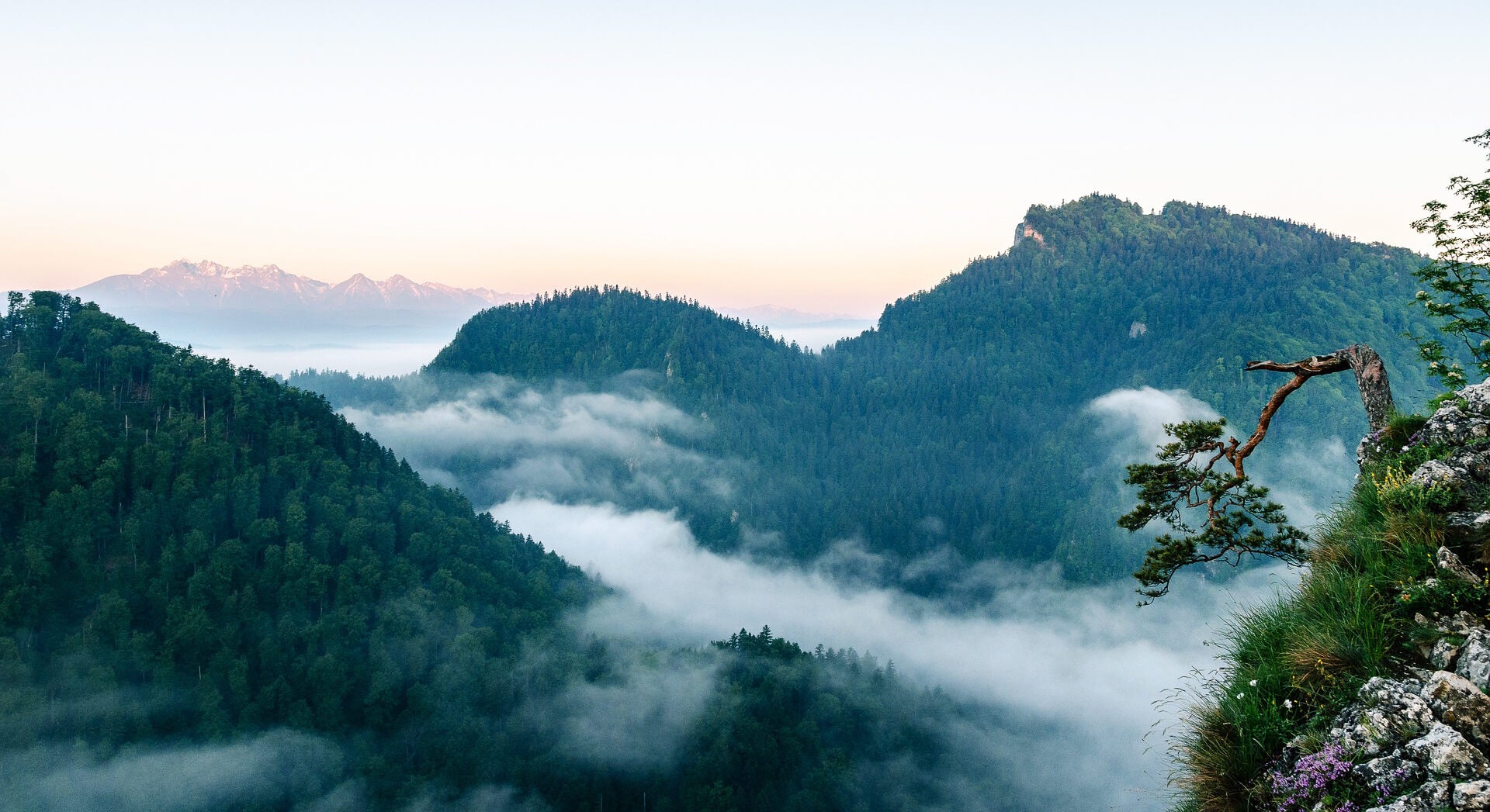 Photo of Sokolica in Pienieny by Piotrek Pixabay